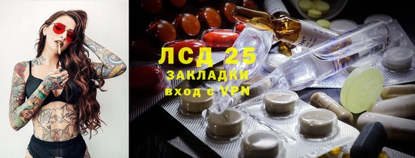 прущие грибы Струнино