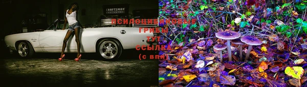 ECSTASY Верея