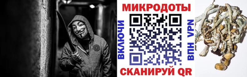 Псилоцибиновые грибы MAGIC MUSHROOMS  Семёнов 